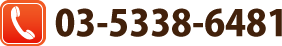 TEL 03-5338-6481